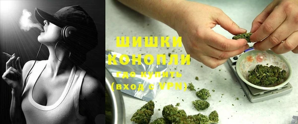стаф Балахна