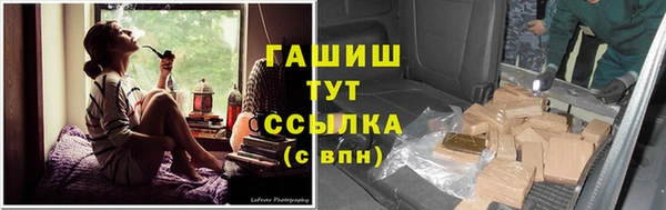 стаф Балахна