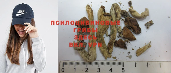 стаф Балахна